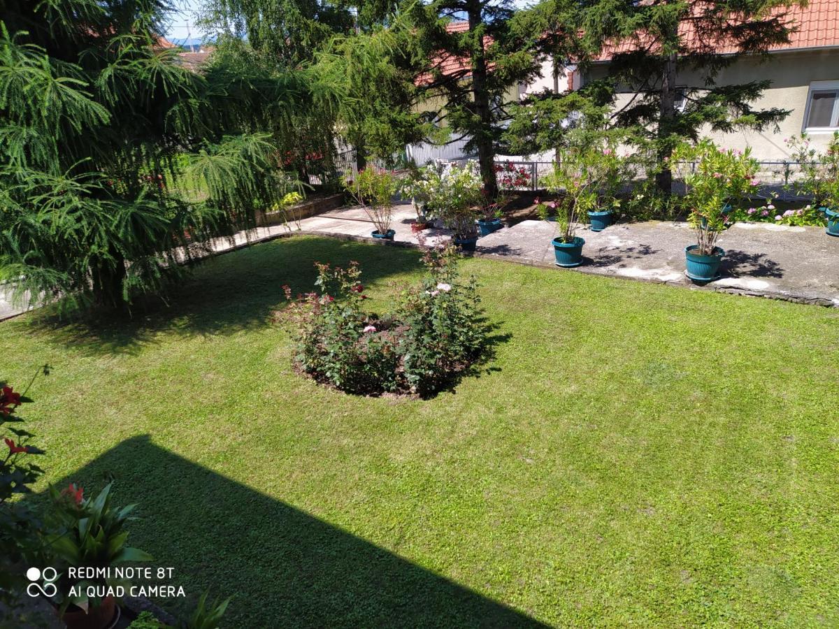 Apartment & Rooms Aleksandar Golubac Exterior photo